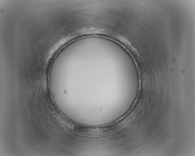 X0000072951167200608111618