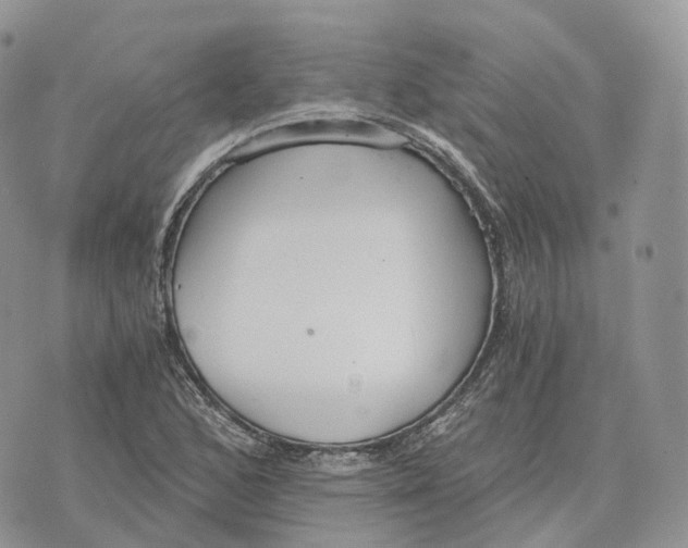 X0000072951168200608111618