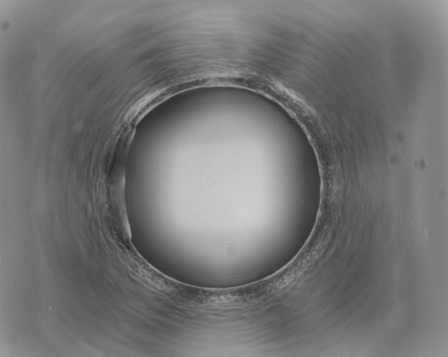 X0000072951169200608111618