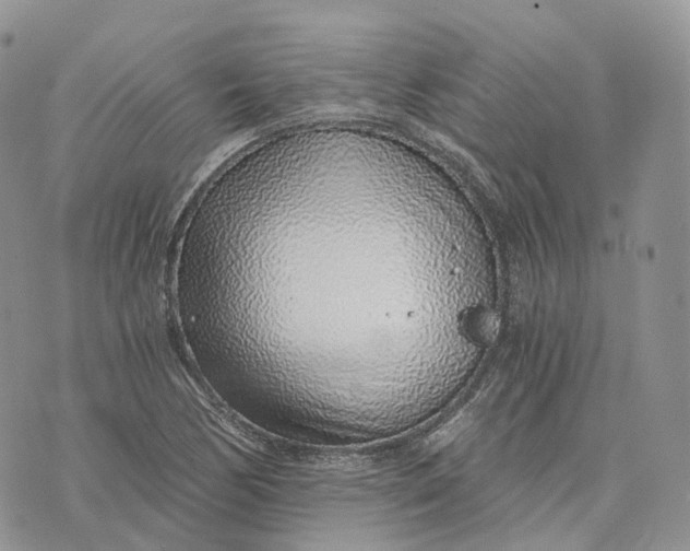 X0000072951170200608111618