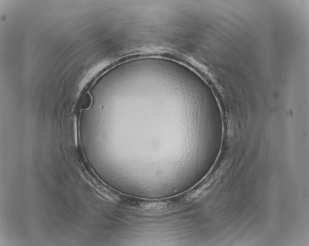 X0000072951171200608111618