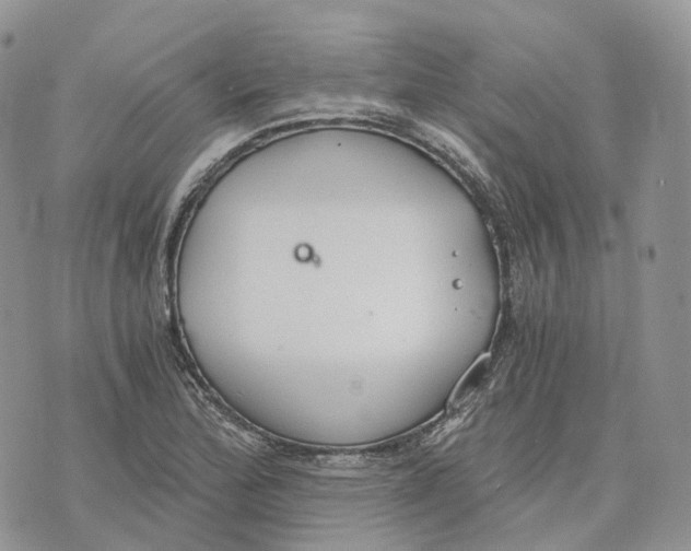 X0000072951172200608111618