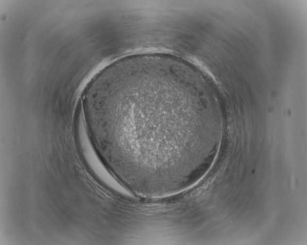 X0000072951173200608111618