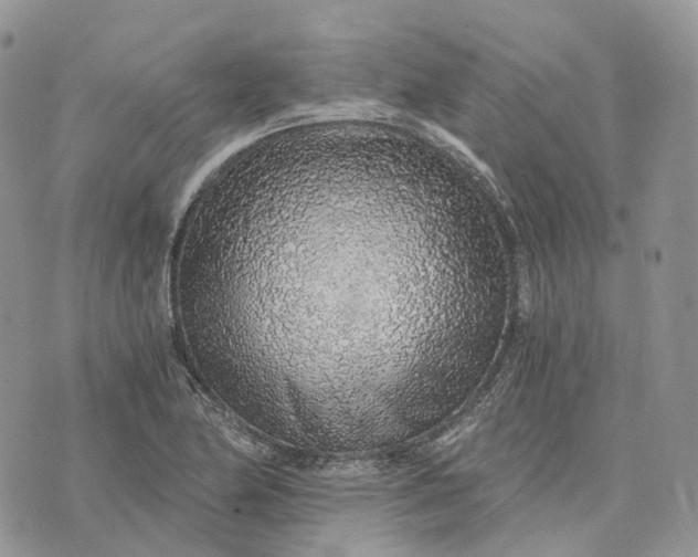 X0000072951174200608111618