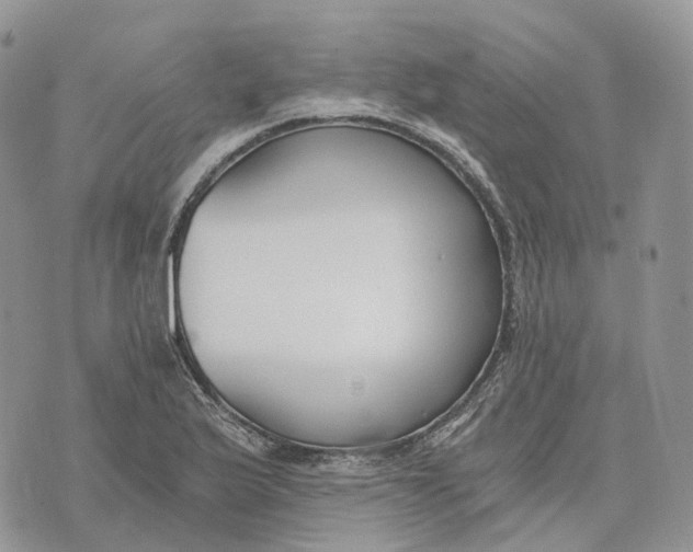 X0000072951175200608111618