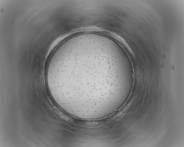 X0000072951176200608111618