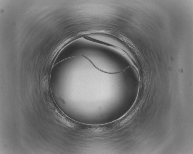 X0000072951177200608111618