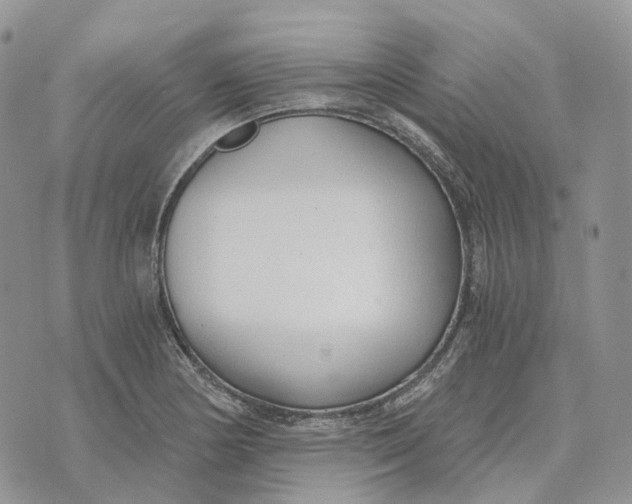 X0000072951178200608111618