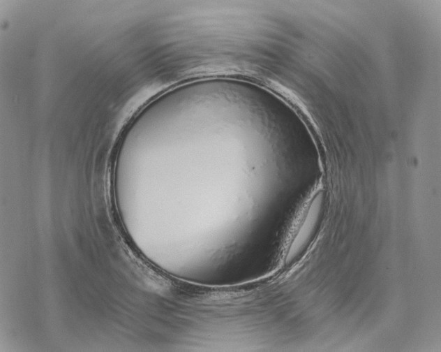 X0000072951179200608111618