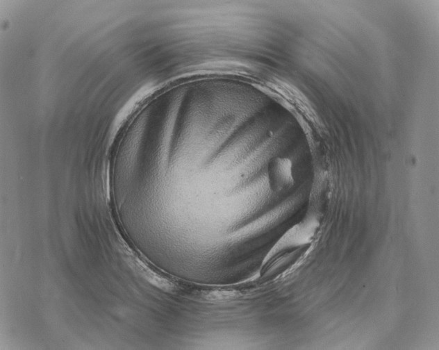 X0000072951180200608111618