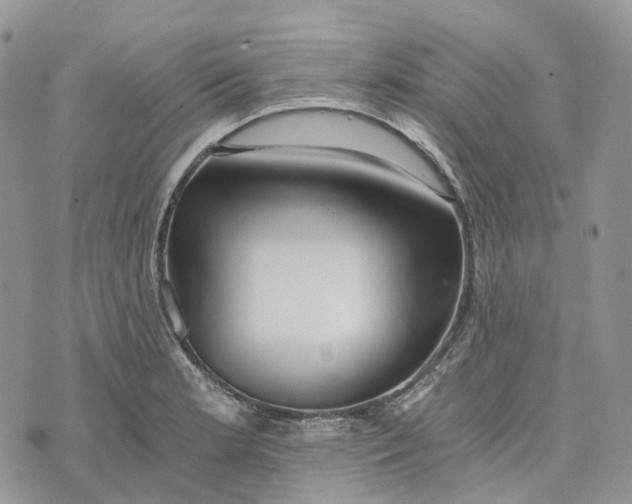 X0000072951181200608111618