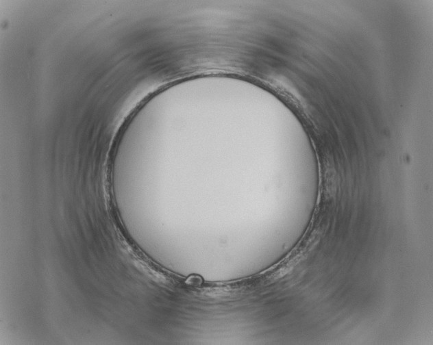 X0000072951182200608111618