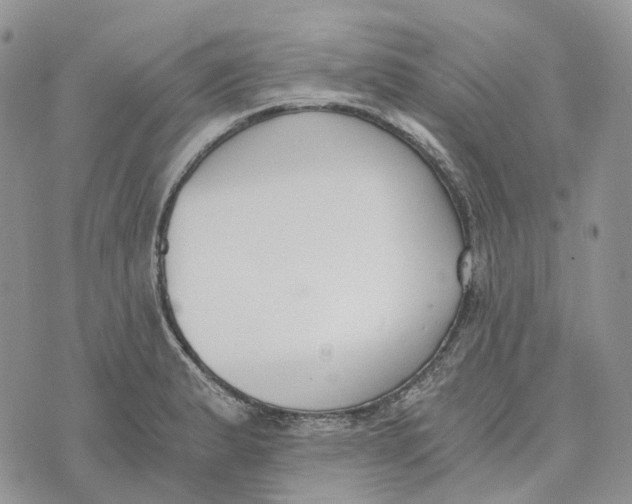 X0000072951183200608111618