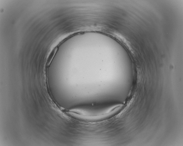 X0000072951184200608111618