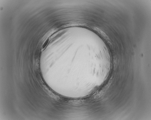 X0000072951185200608111618