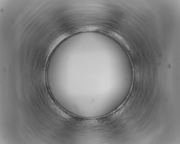 X0000072951186200608111618