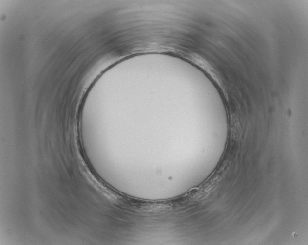 X0000072951187200608111618