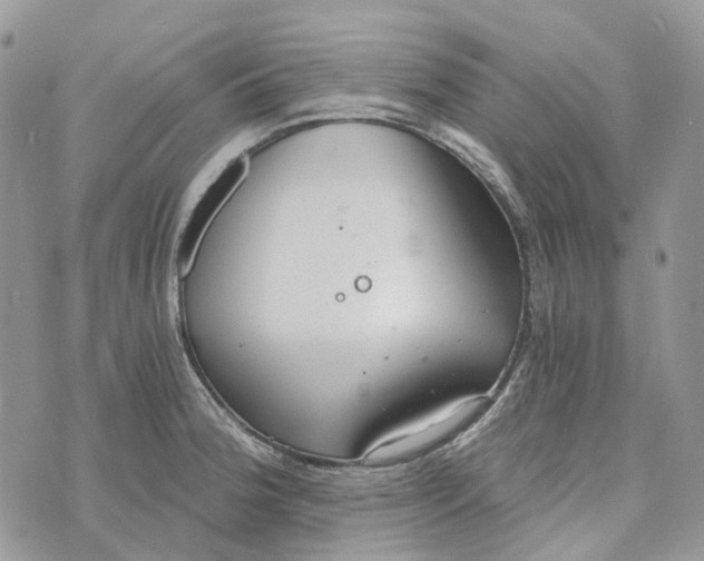 X0000072951188200608111618