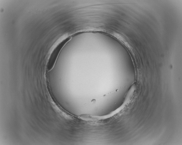 X0000072951189200608111618