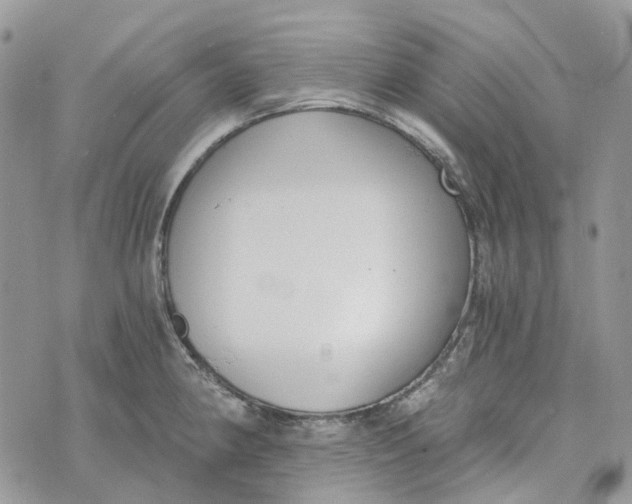 X0000072951190200608111618