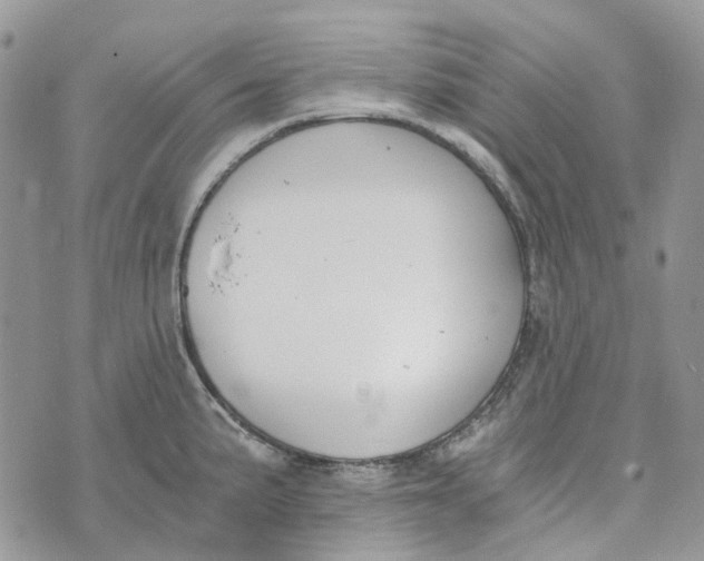 X0000072951191200608111618