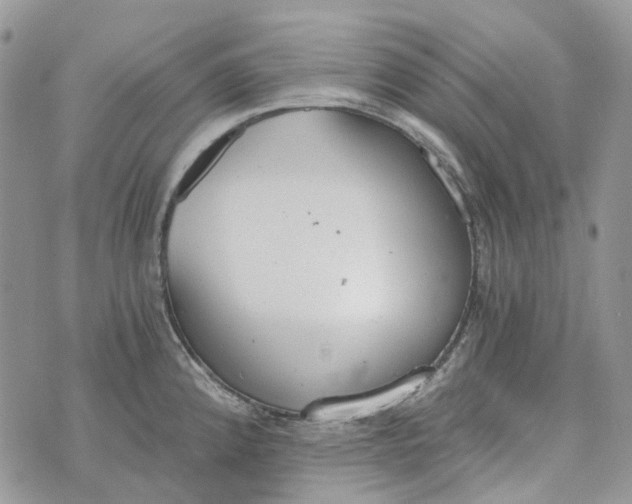 X0000072951192200608111618