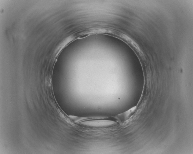 X0000072951193200608111618