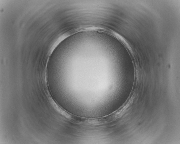 X0000072951194200608111618