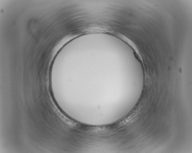 X0000072951195200608111618