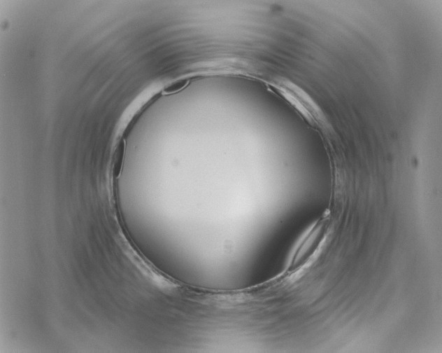 X0000072951196200608111618