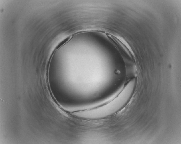 X0000072951197200608111618