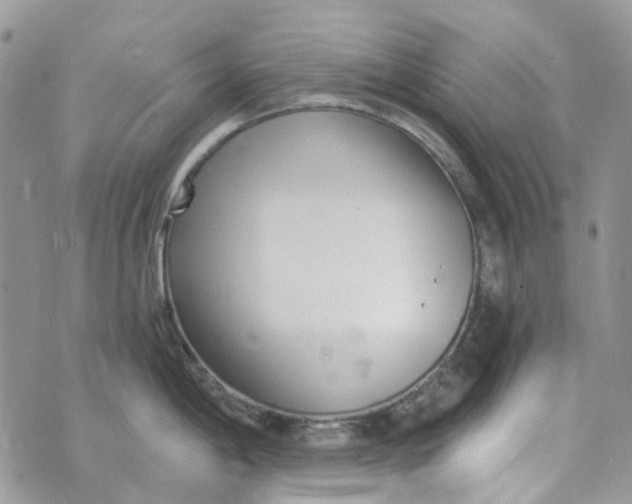 X0000072951198200608111618