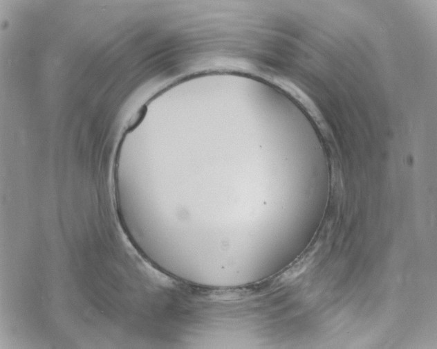 X0000072951199200608111618