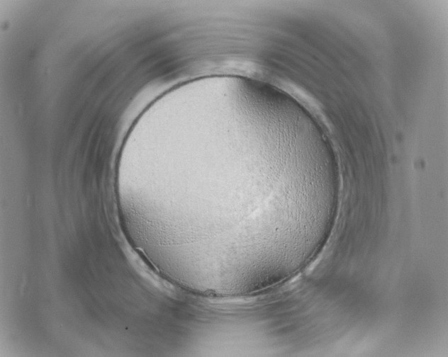 X0000072951200200608111618