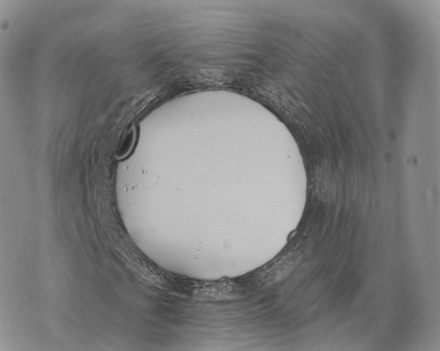 X0000072951201200608111617