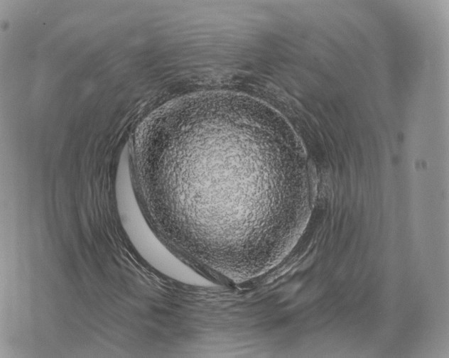 X0000072951202200608111617