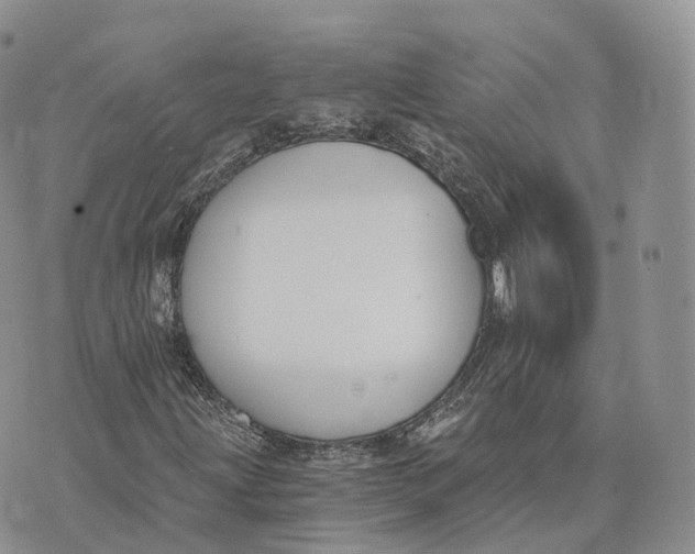 X0000072951203200608111617