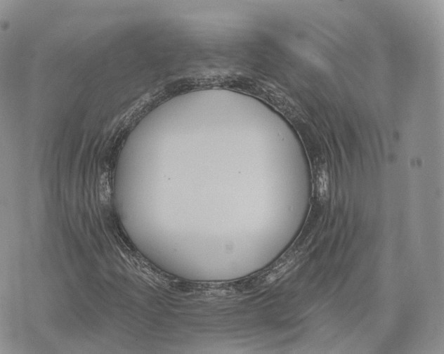 X0000072951204200608111617