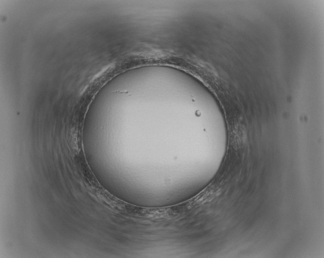 X0000072951205200608111617