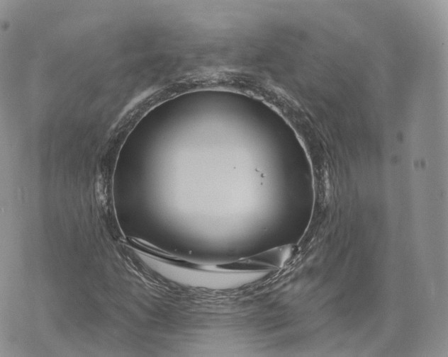 X0000072951206200608111617