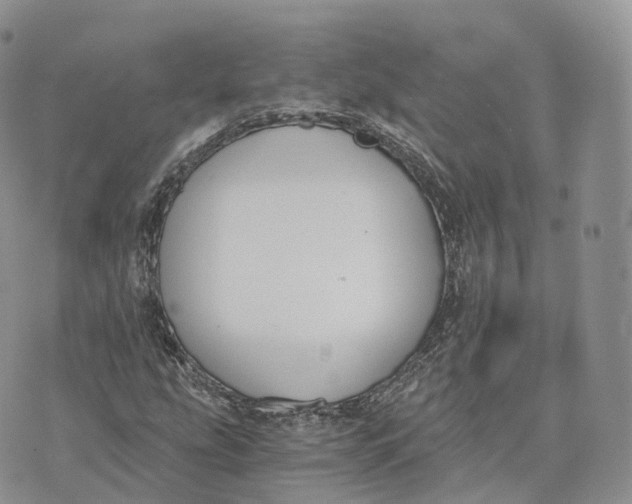 X0000072951207200608111617