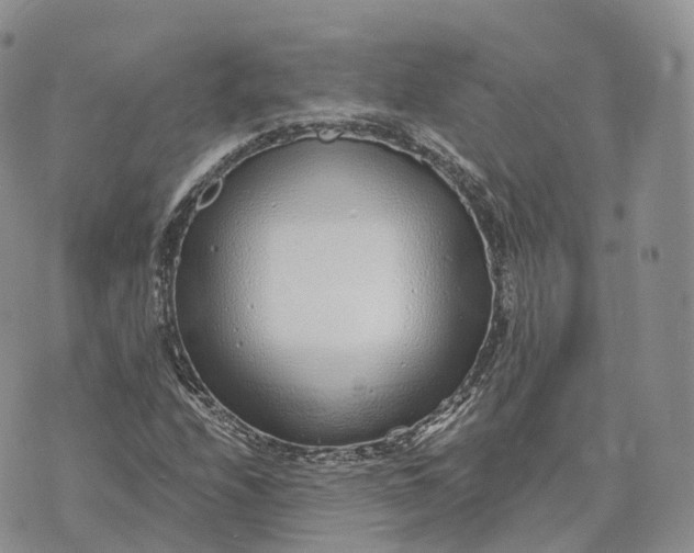 X0000072951208200608111617