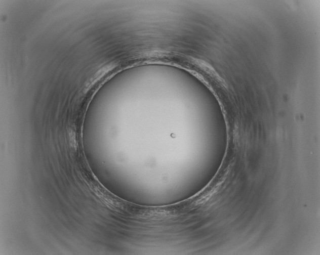 X0000072951209200608111617