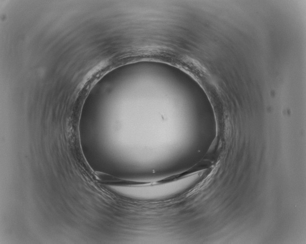 X0000072951210200608111617