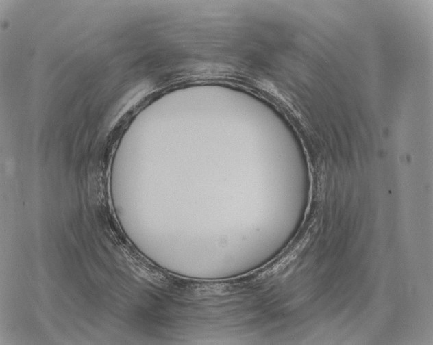 X0000072951211200608111617