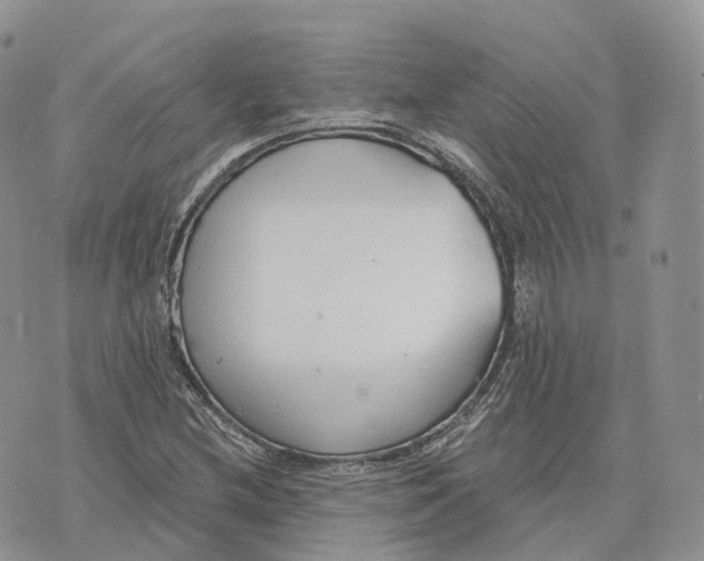 X0000072951212200608111617