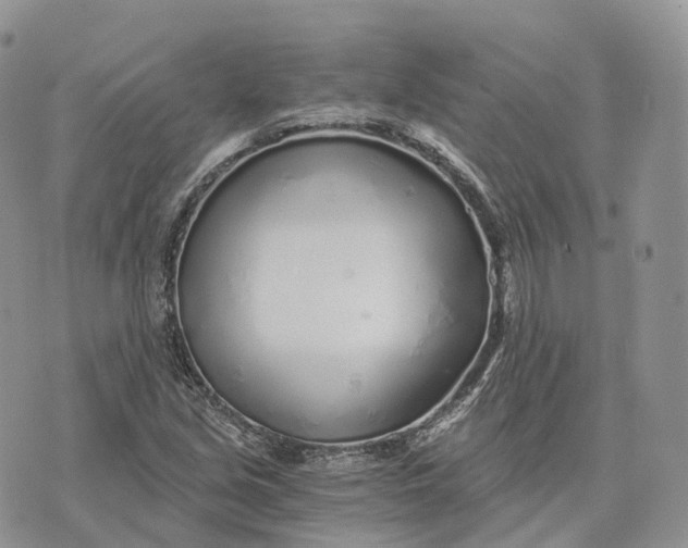 X0000072951213200608111617