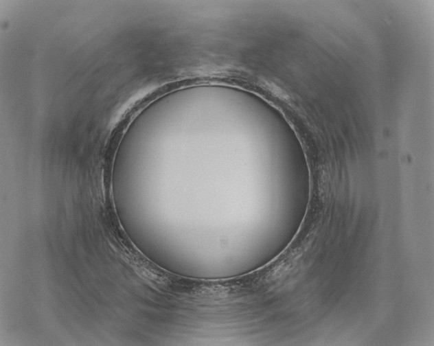 X0000072951214200608111617