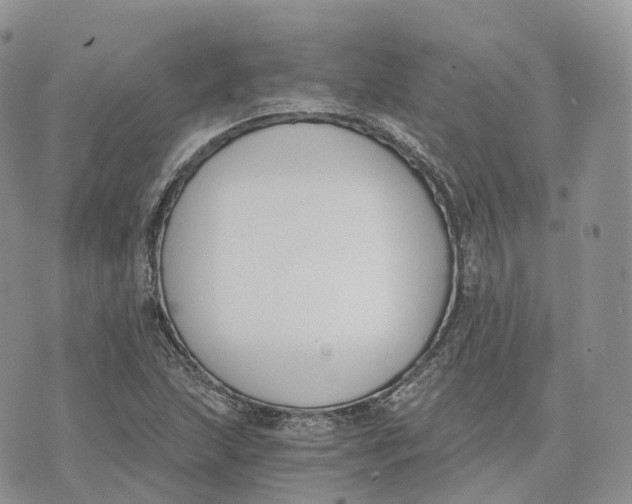 X0000072951215200608111617