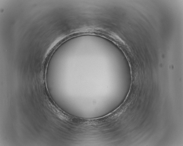 X0000072951216200608111617